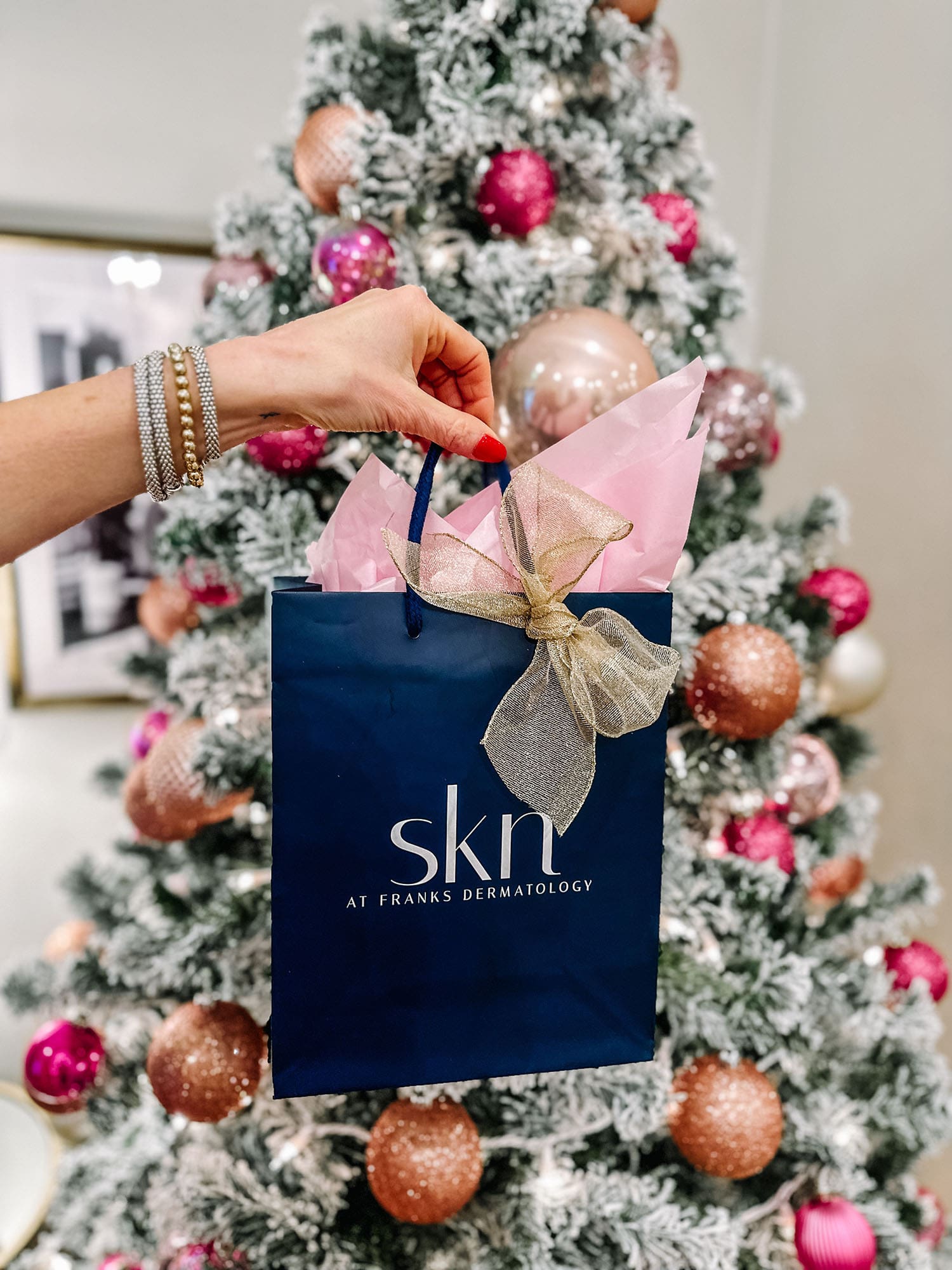 hand holding a SKN gift bag in front of a Christmas tree